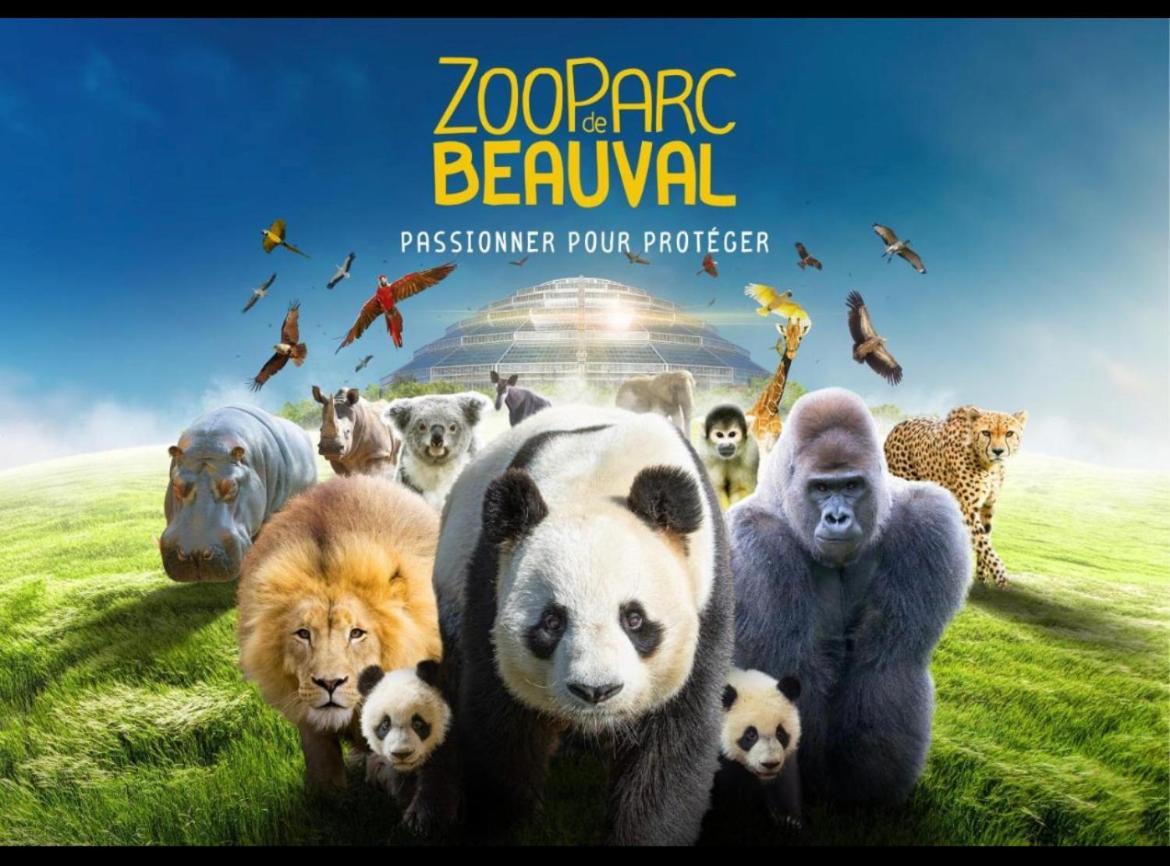 Gîte SOUAÏ ET ZEN , 5 mn du Zooparc de Beauval Saint-Aignan  Extérieur photo
